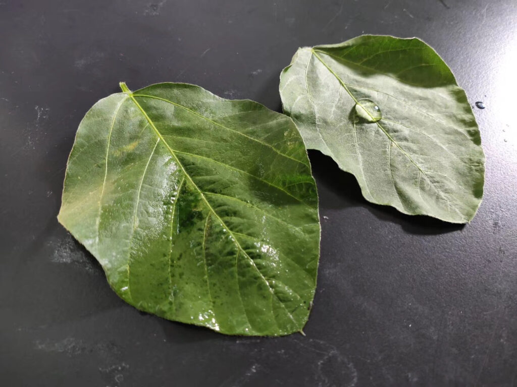 2-Methyl-4-Isothiazoline-3-Ketone (CMIT/MIT ) application image from the existing record